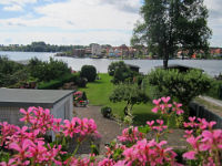 Blumenblick auf Malchower See und Insel